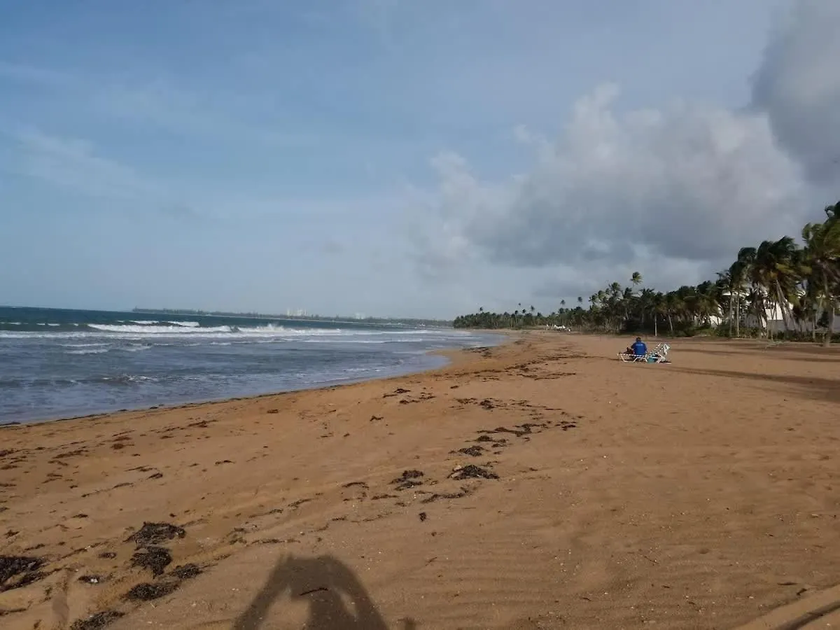 Beachfront Luxury 2Br Villa-Villa Celeste Rio Mar Carmelita Puerto Rico